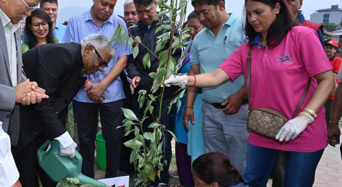 Embassy of India in Nepal celebrates the World Environment Day
