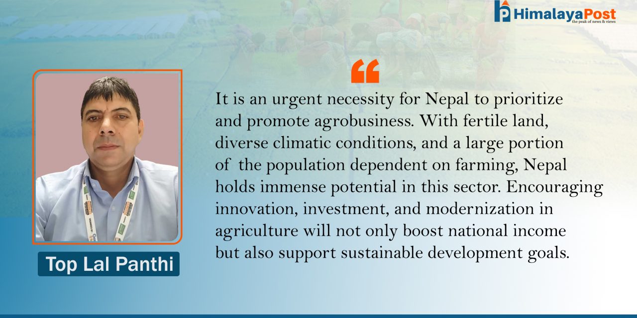 Agrobusiness: A Path to Sustainable Development and Balanced GDP in Nepal