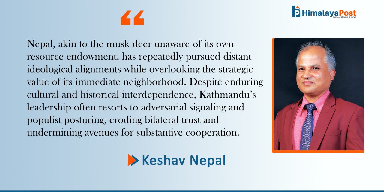 Nepal and the Musk Deer: Rethinking a Neighbourhood of Missed Chances