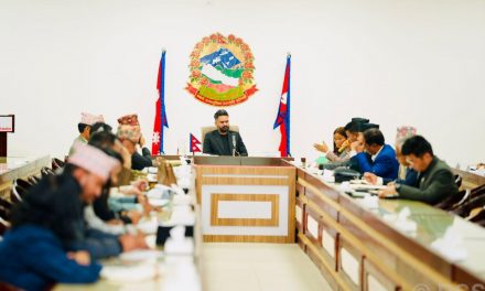 PM Shah begins discussion with lawmakers