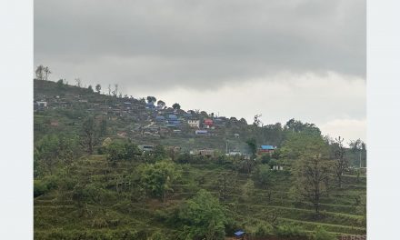 Rumsi trip a fine choice to explore rural settings