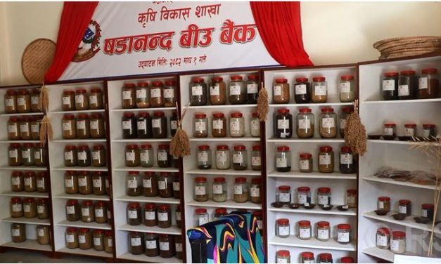 Seeds bank to preserve indigenous agro seeds in northern Bhojpur