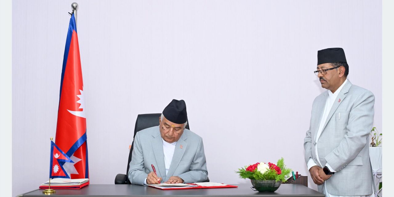 President issues Ordinance on Constitutional Council