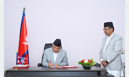 President issues Ordinance on Constitutional Council