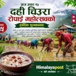 National Paddy Day being observed across nation today