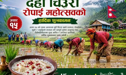 National Paddy Day being observed across nation today