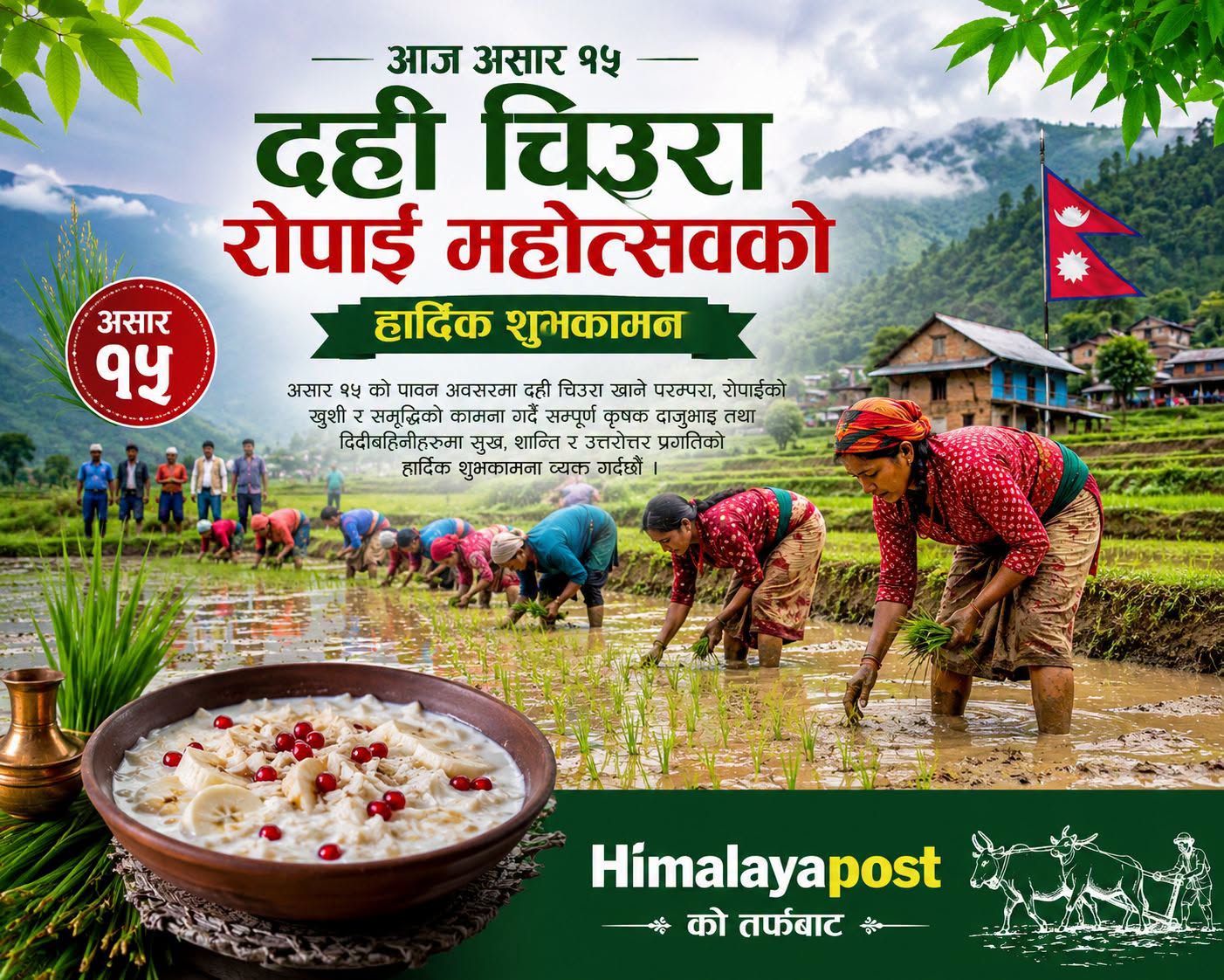 National Paddy Day being observed across nation today