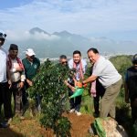 Standard Chartered Bank Nepal Limited marks World Environment Day with tree plantation drive
