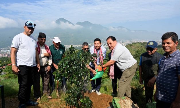 Standard Chartered Bank Nepal Limited marks World Environment Day with tree plantation drive