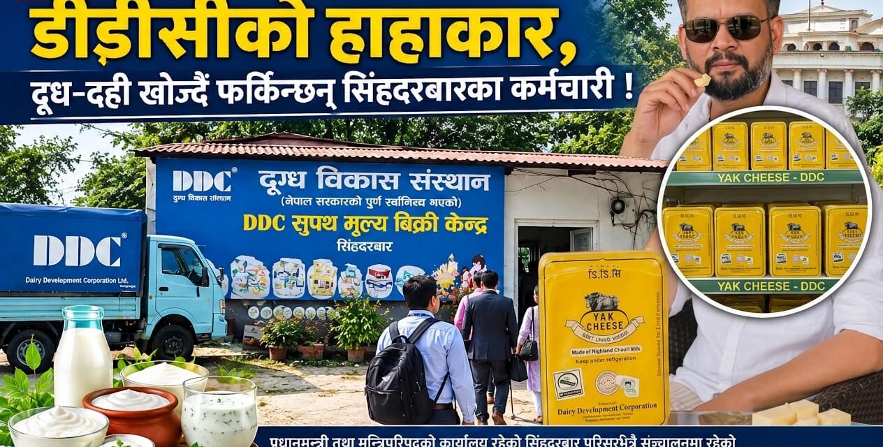 DDC Dairy Products in Short Supply at Singha Durbar Sales Outlet Amid Power Transformer Failure
